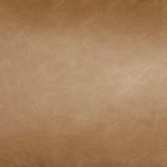 Danvale Pillow (Set of 4)